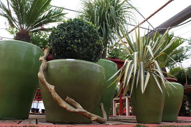 Botani-Garden-03b