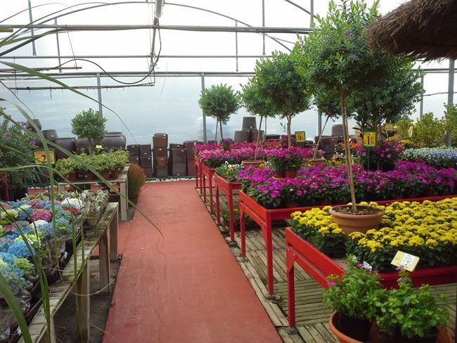 Botani-Garden_04