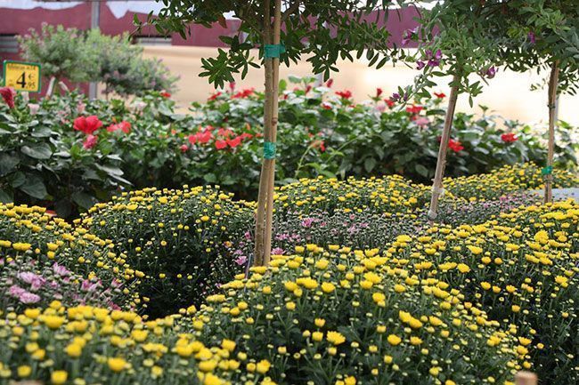 Botani-Garden_09