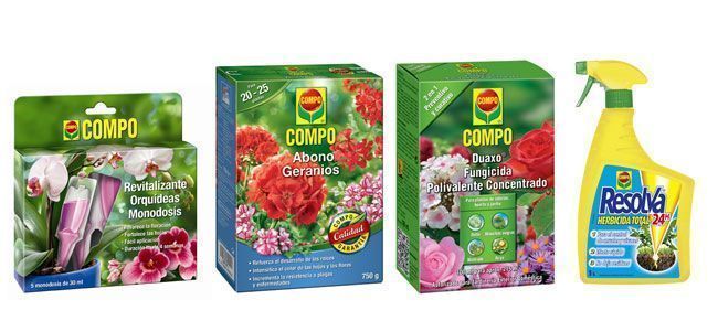 Novedades-COMPO_14