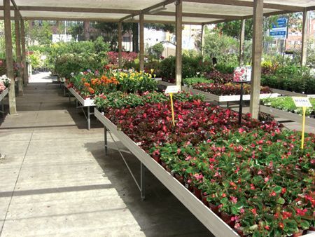 hortibatlle_garden