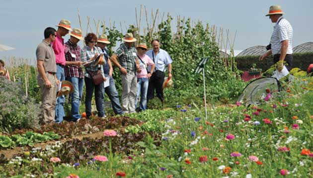 Visita de clientes a Oxadis-Vilmorin