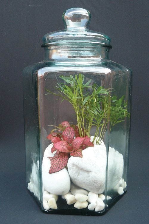 pequeno_vidrogarden_01