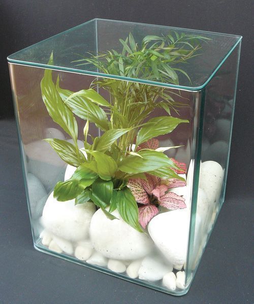 pequeno_vidrogarden_02