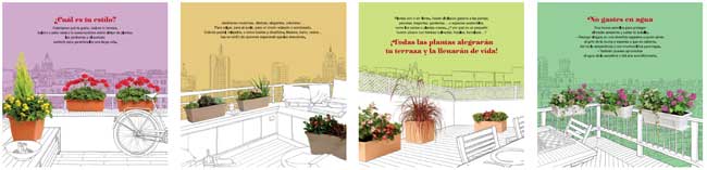Plan Renove Terrazas