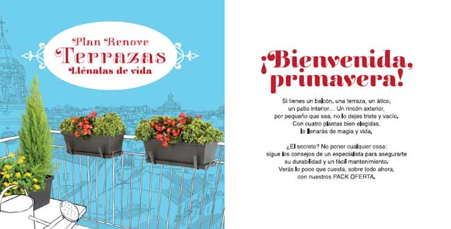 Plan Renove Terrazas